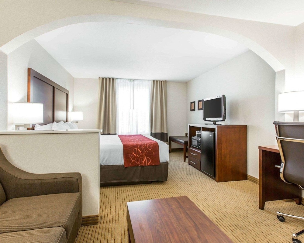 Comfort Suites Downtown Sacramento 20/47