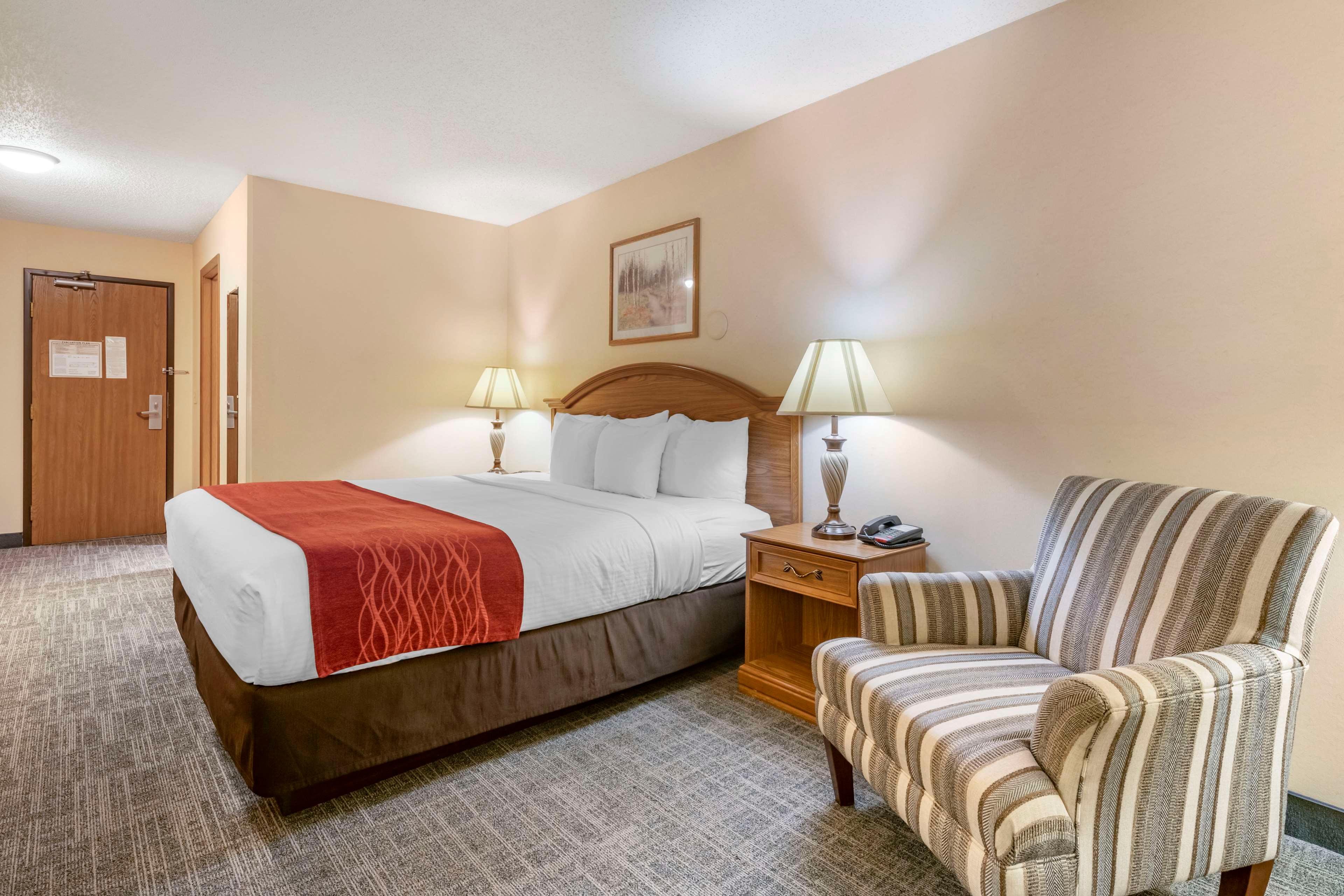Room, King Bed, Pet Friendly