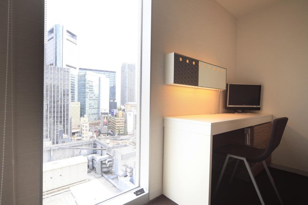Sotetsu Fresa Inn Shimbashi Karasumoriguchi 16/46