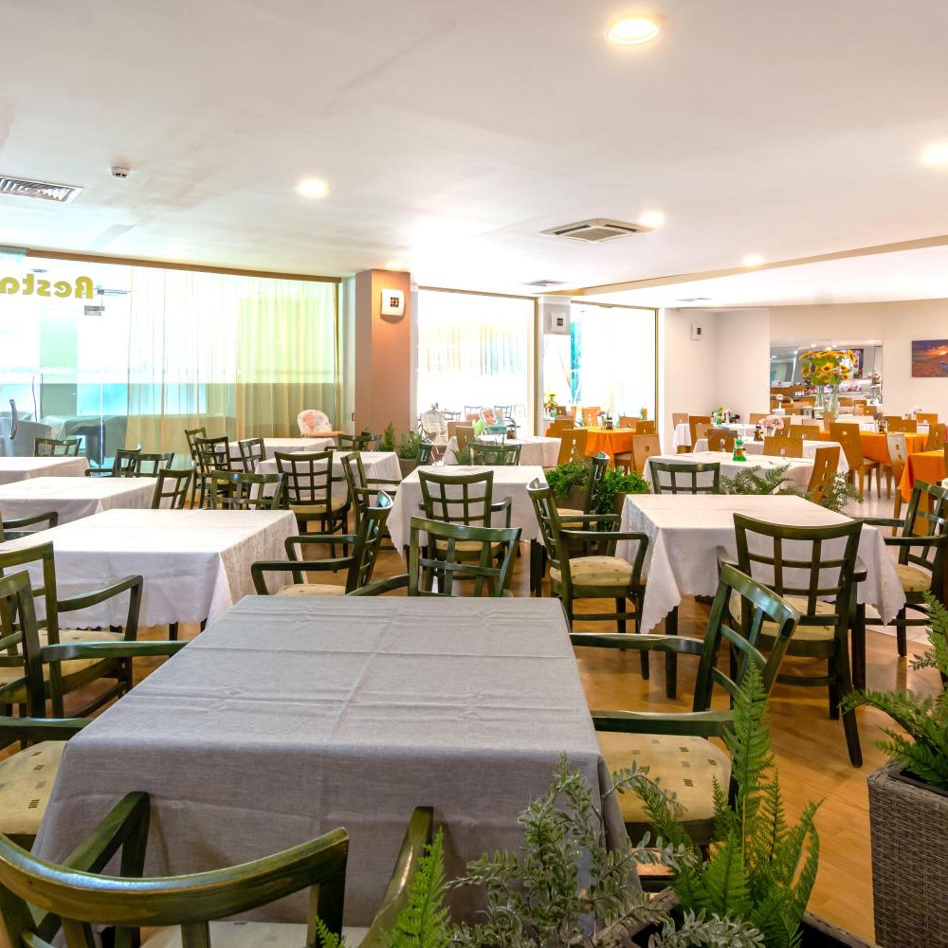 Hotel Palma 48/62