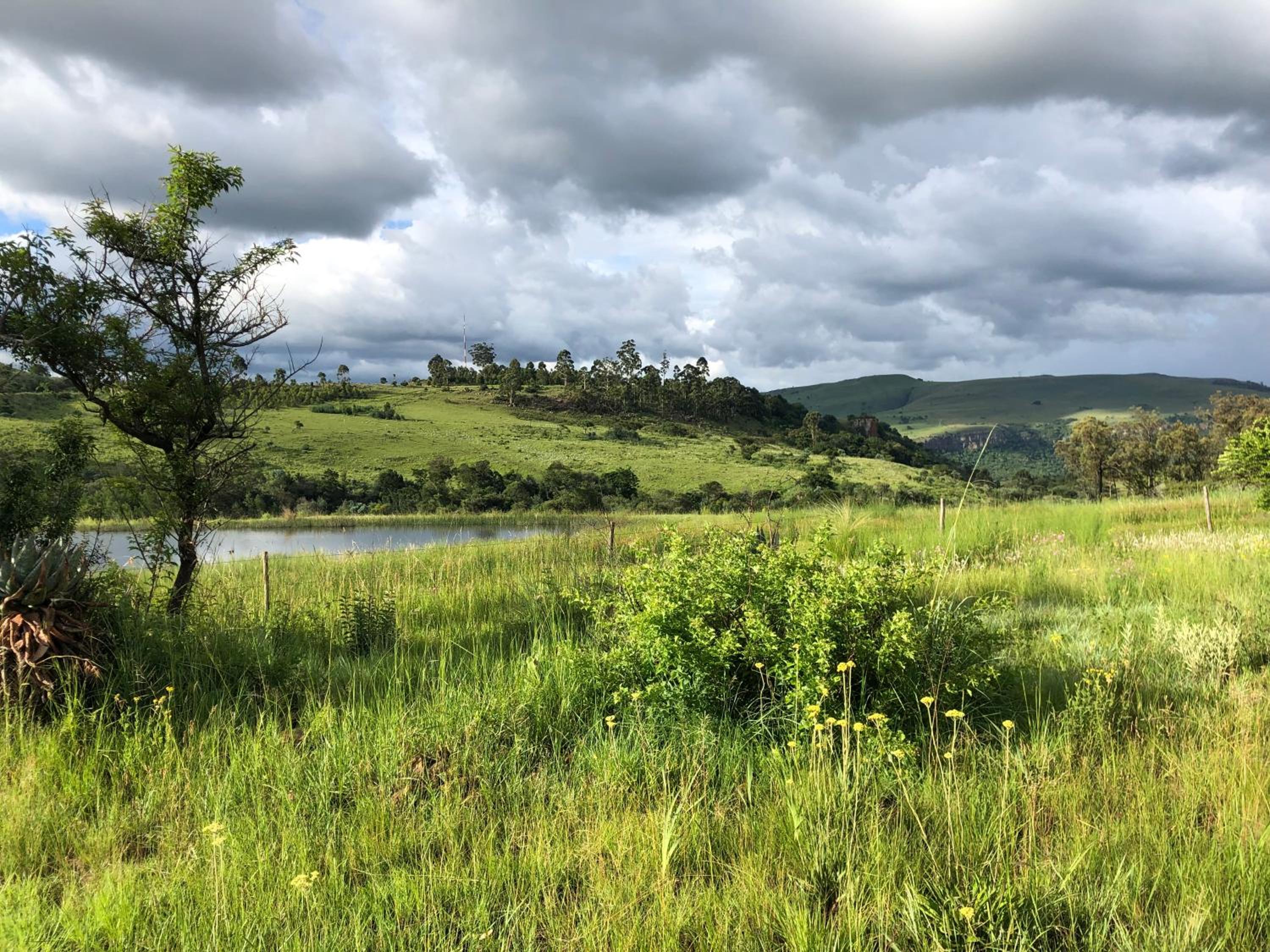 Tegwaan Country Getaway 26/44