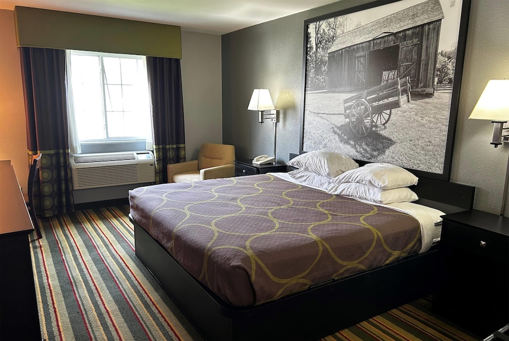 Room, King Bed