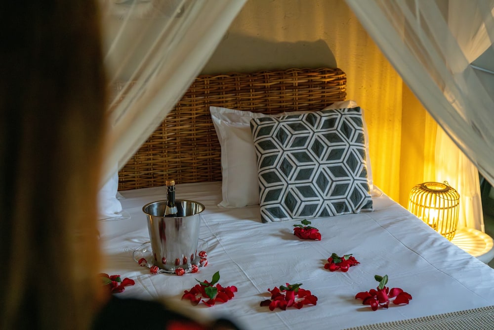 Bushbaby River Lodge 26/59