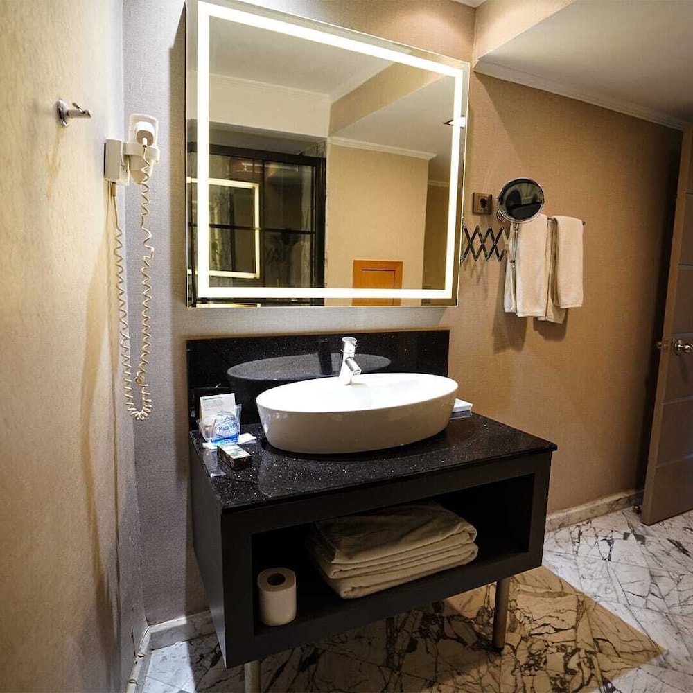 Ankara Plaza Hotel 32/66