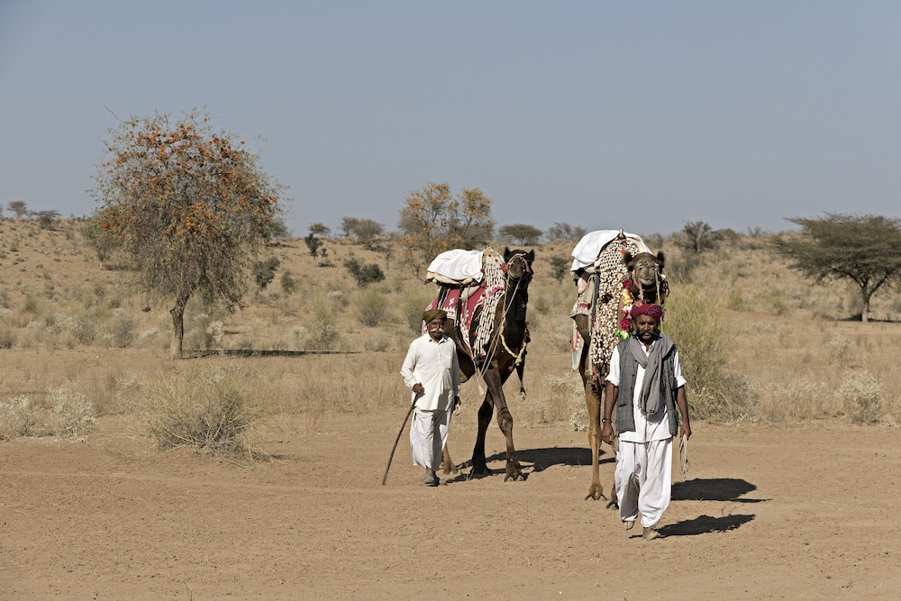 THE MANAVAR RESORT AND CAMP 35/50