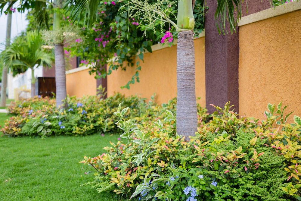 Centrally Located Guest Apartments 14/20