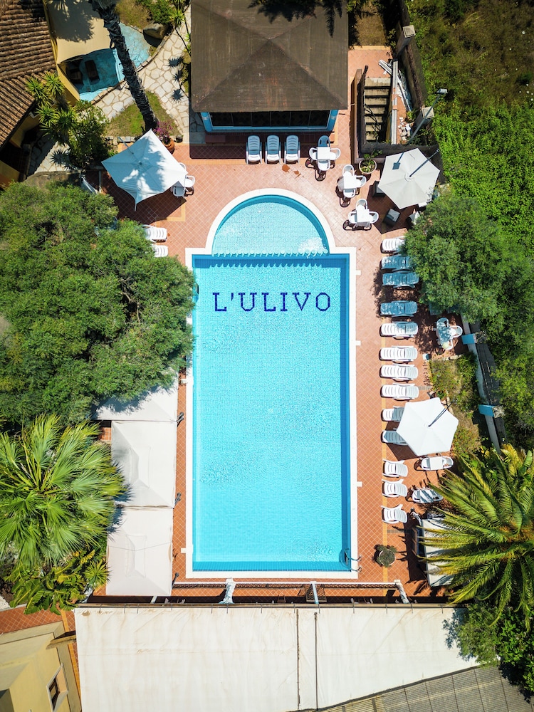L'ulivo 3/49