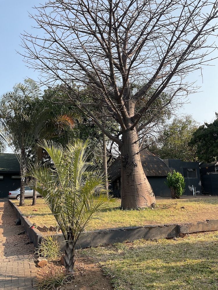 Bothabelo Bed and Breakfast 39/46