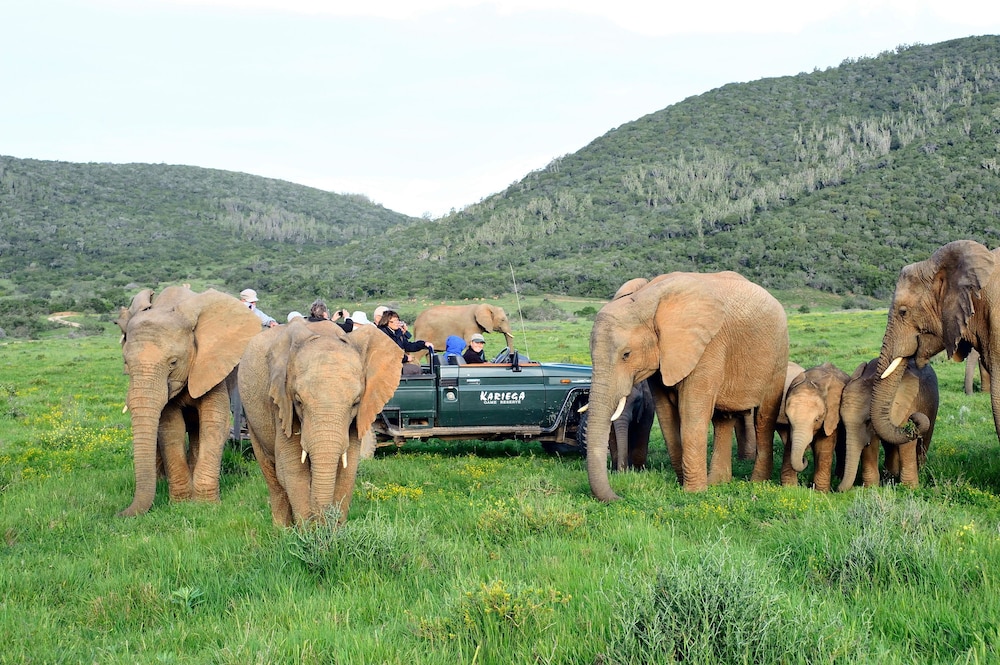 Kariega Game Reserve-Settlers Drift 41/45
