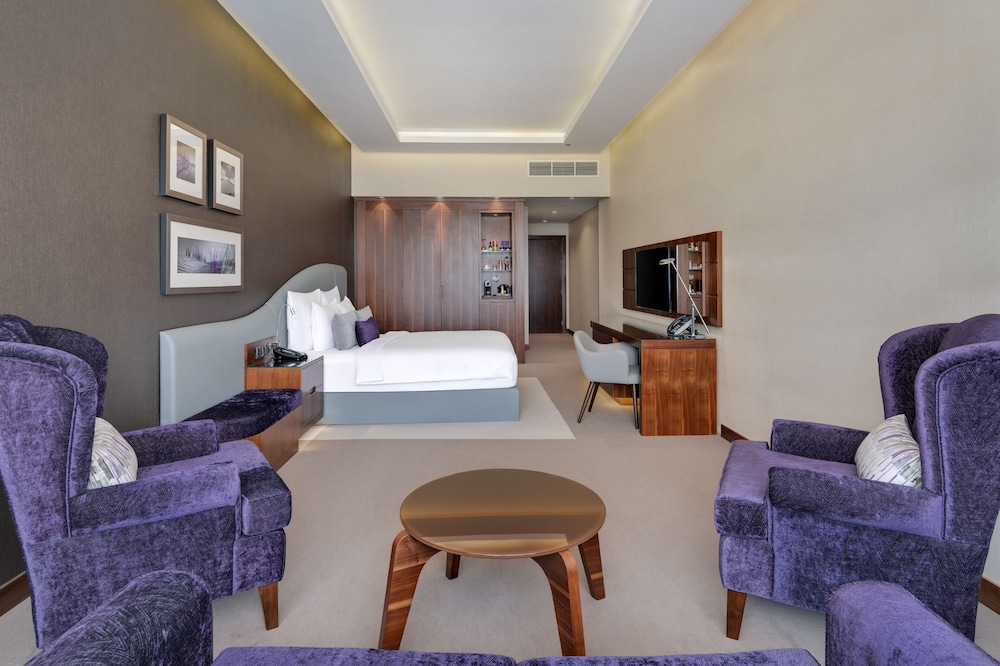Radisson Blu Hotel Dubai Waterfront 53/78