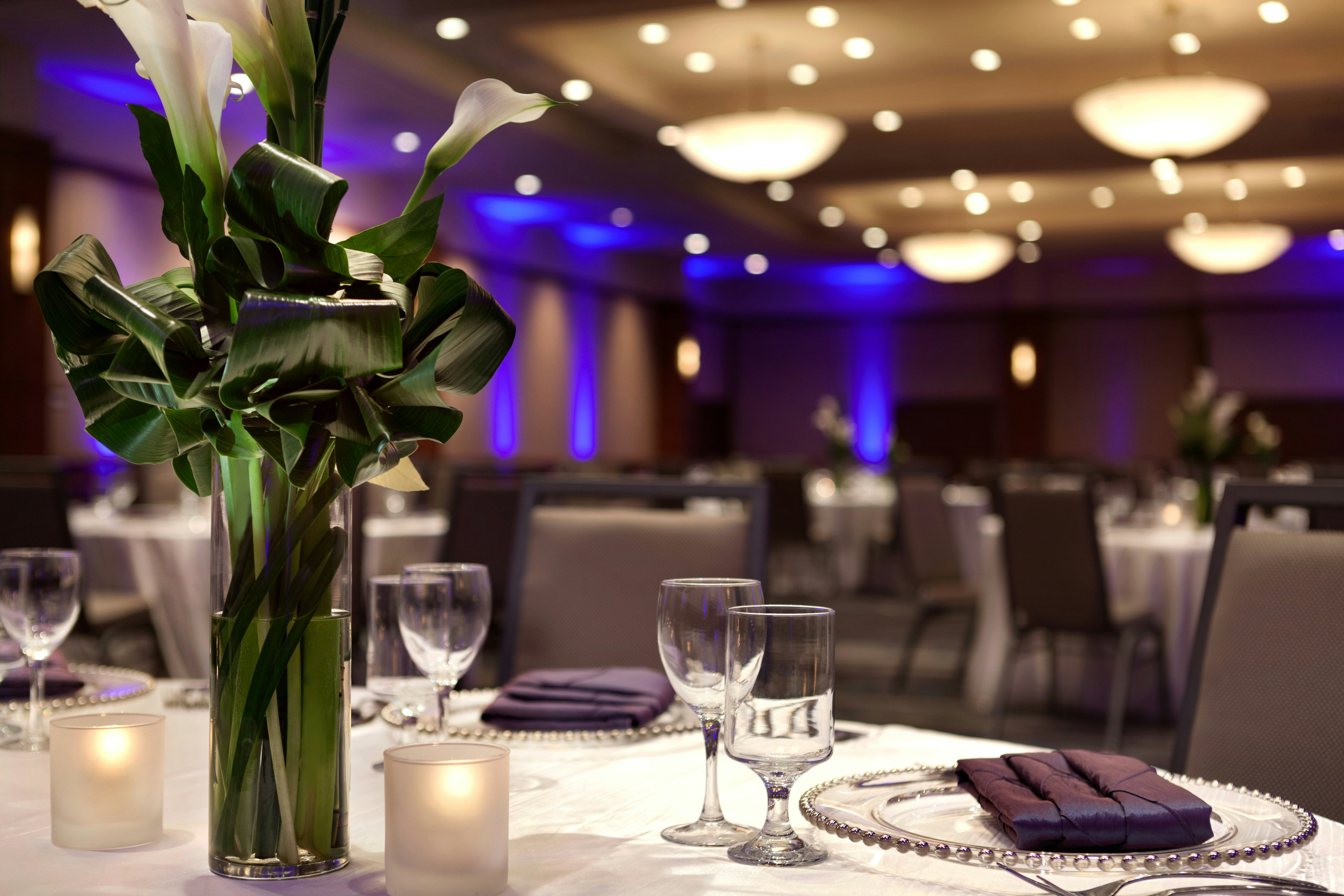 Doubletree Hotel Minneapolis Park Place 23/39