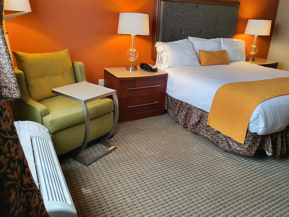 HOTEL SAN FRANCISCO LEON 16/64