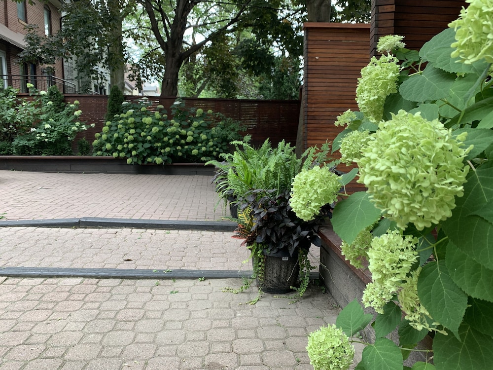 surroundings