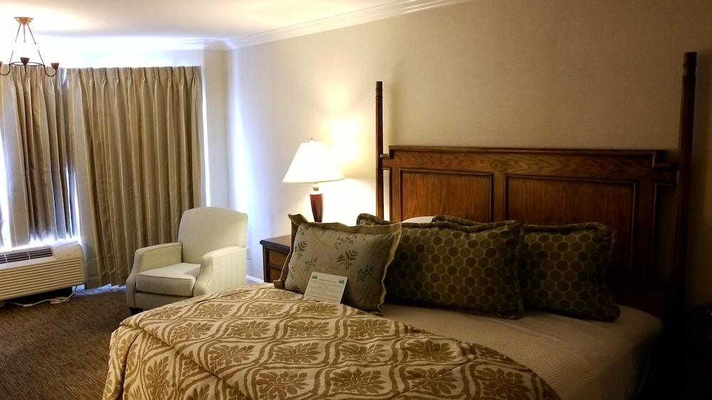 Chelsea Motor Inn 44/62