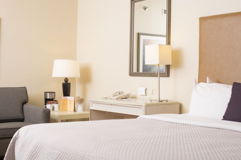 Istay Hotel Ciudad Juarez 4/42