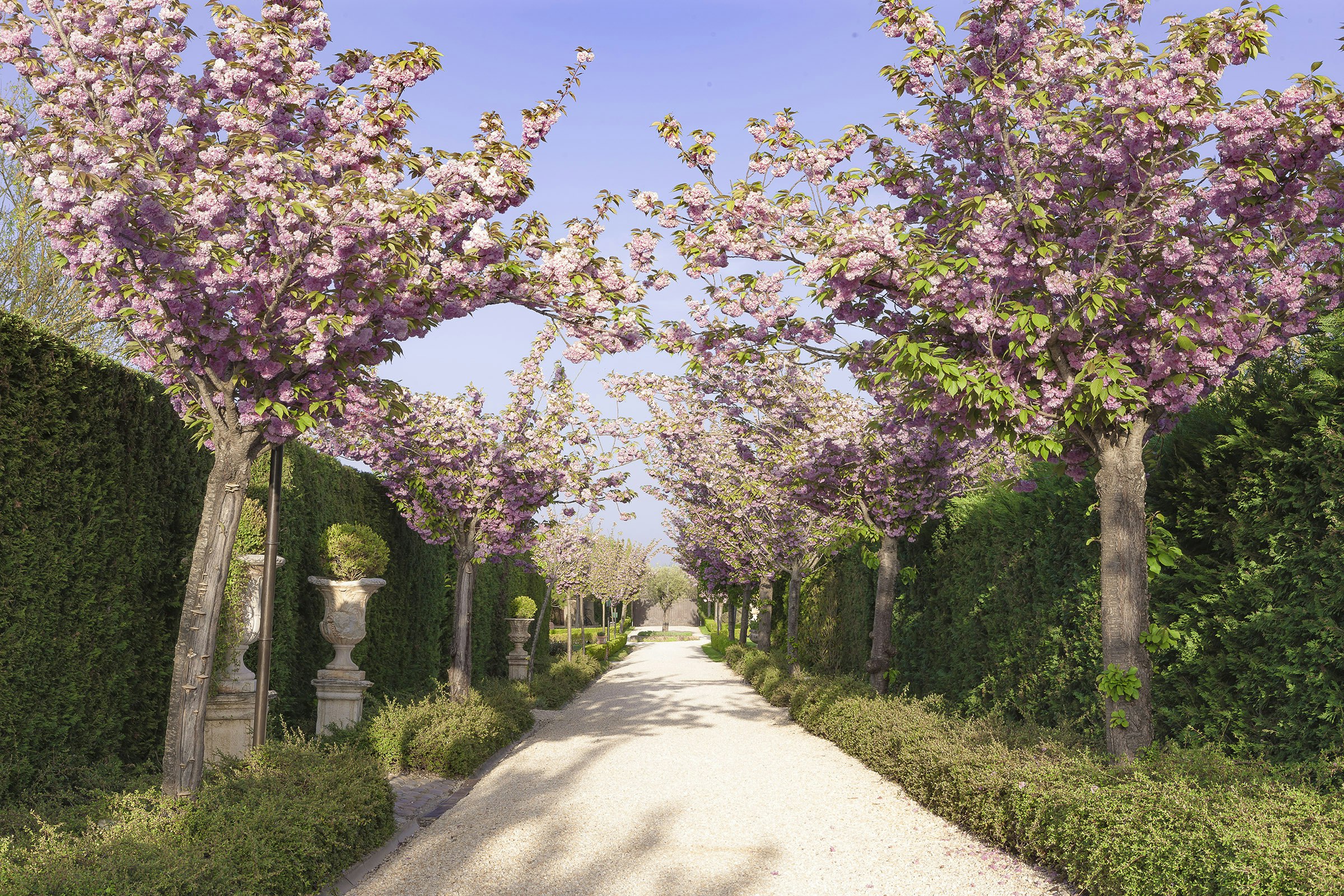 Relais Borgo Santo Pietro 40/50