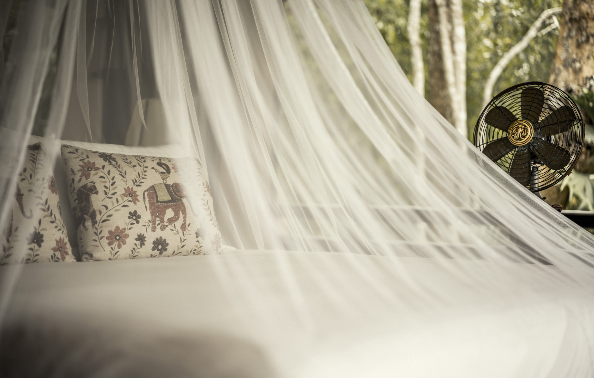 Four Seasons Tented Camp Golden Triangle, Thailand 4/50