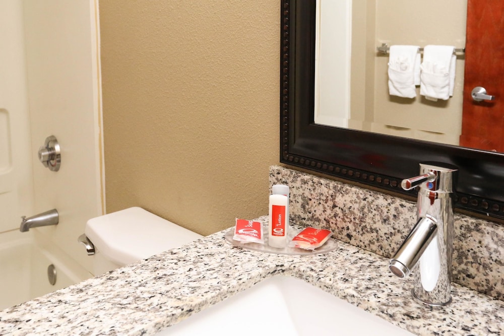 Econo Lodge Inn Suites Greenville 19/69