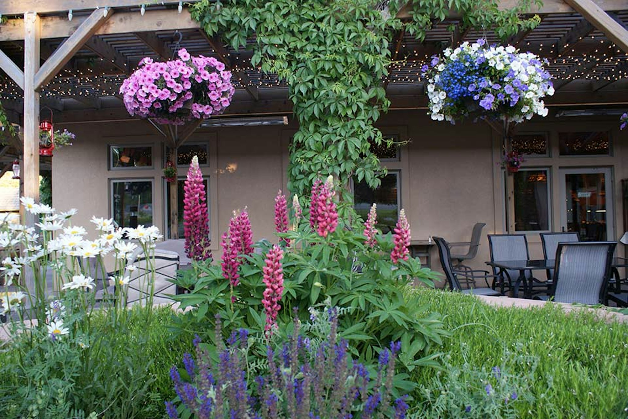 Flying Saddle Resort 15/16
