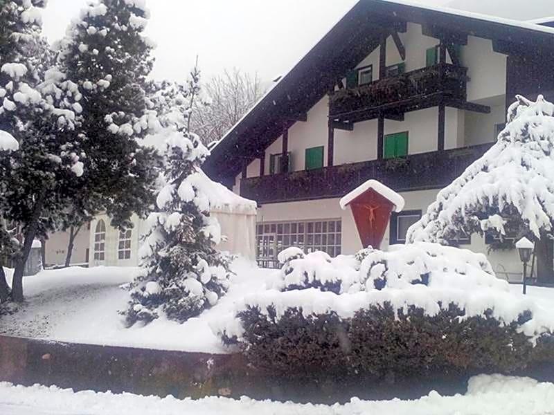 HOTEL REGINA DELLE DOLOMITI 3/81