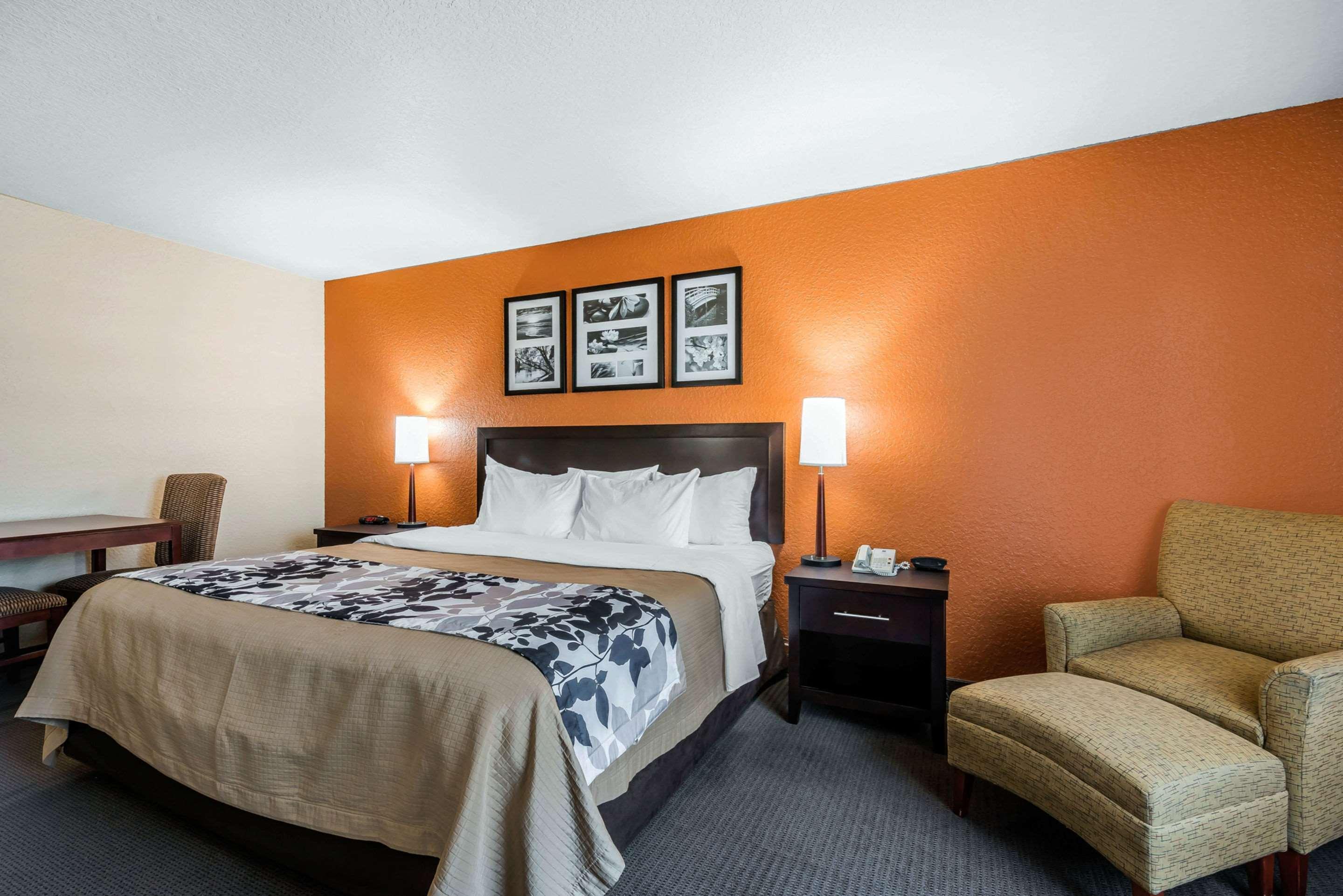 SUITE, KING BED