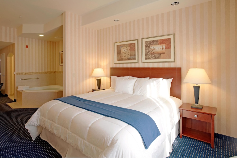 Holiday Inn Express & Suites Lathrop 18/61