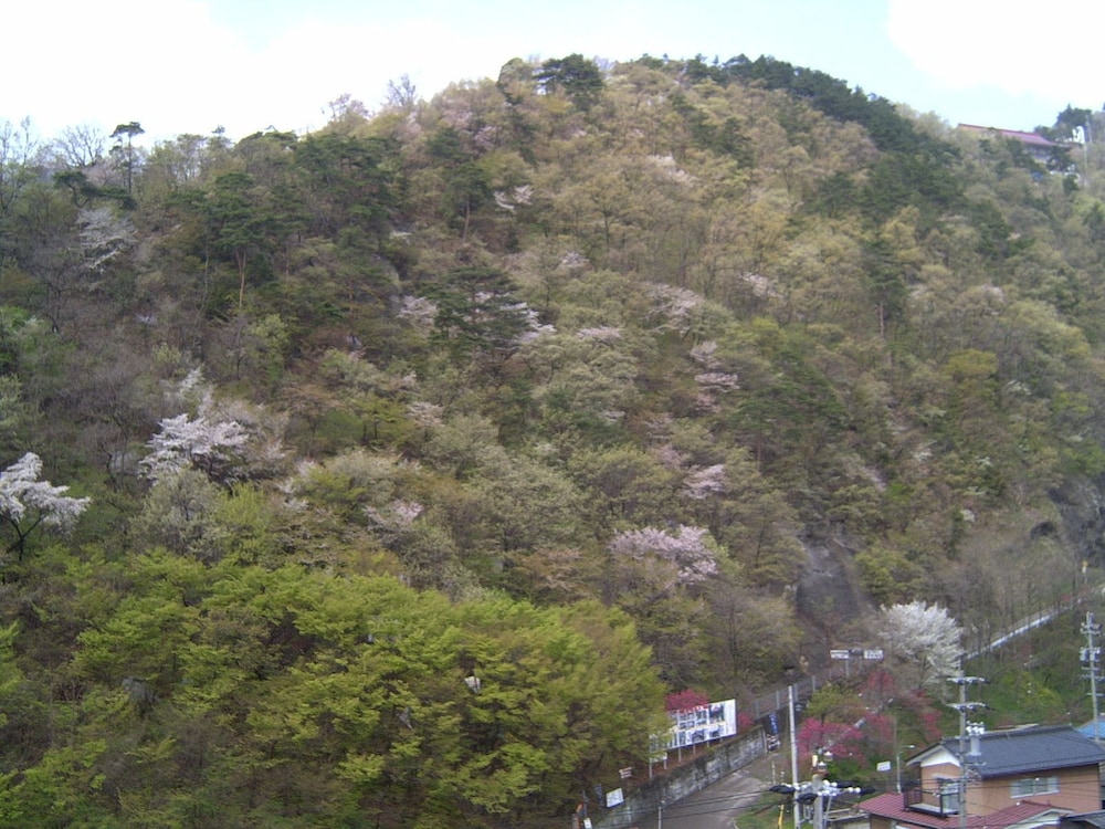 Hotel Platon 29/31