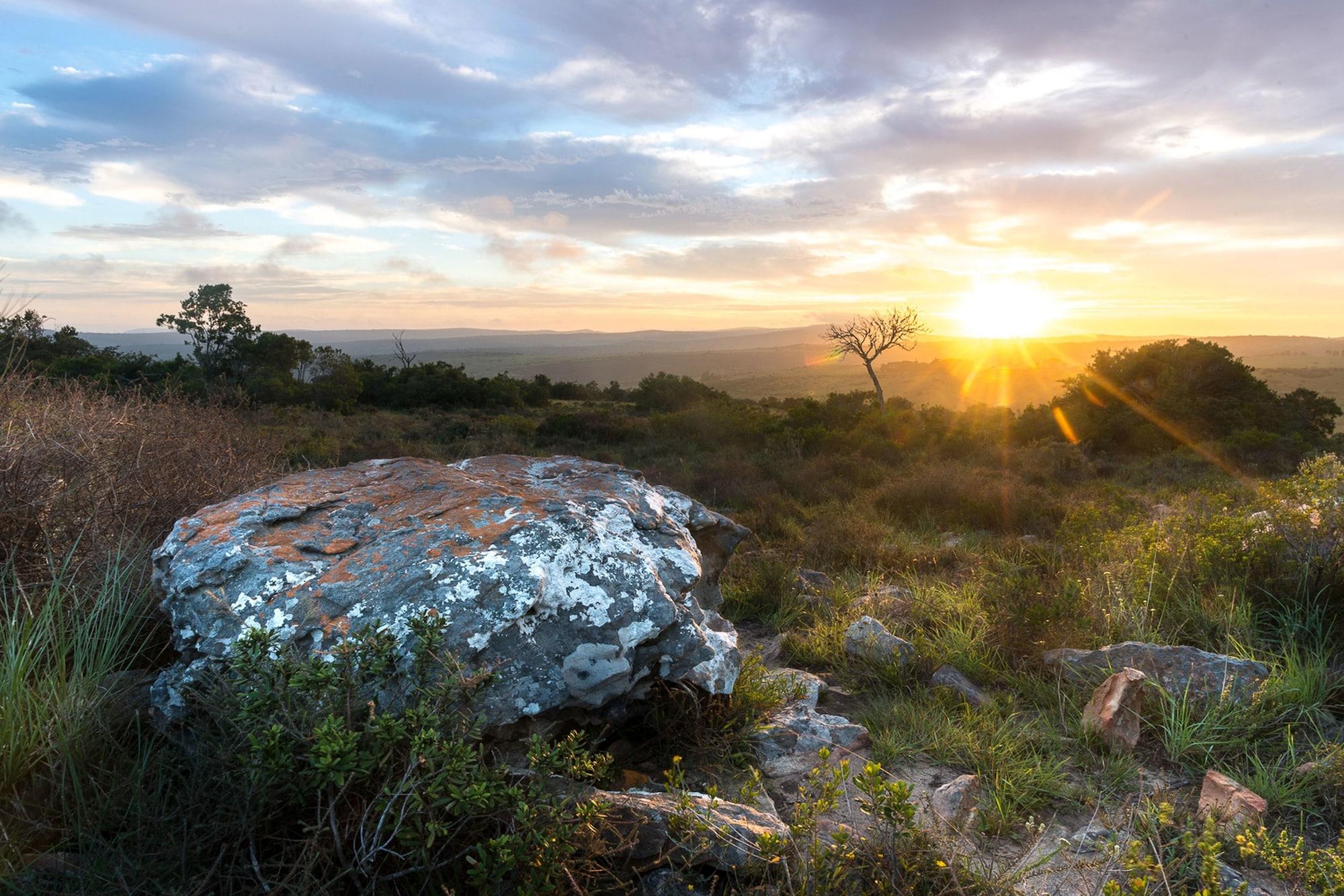 Shamwari Game Reserve - Eagles Crag 39/55