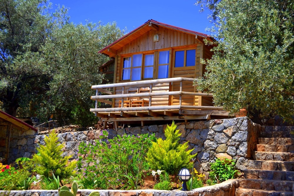 Olive Garden Kabak 4/50