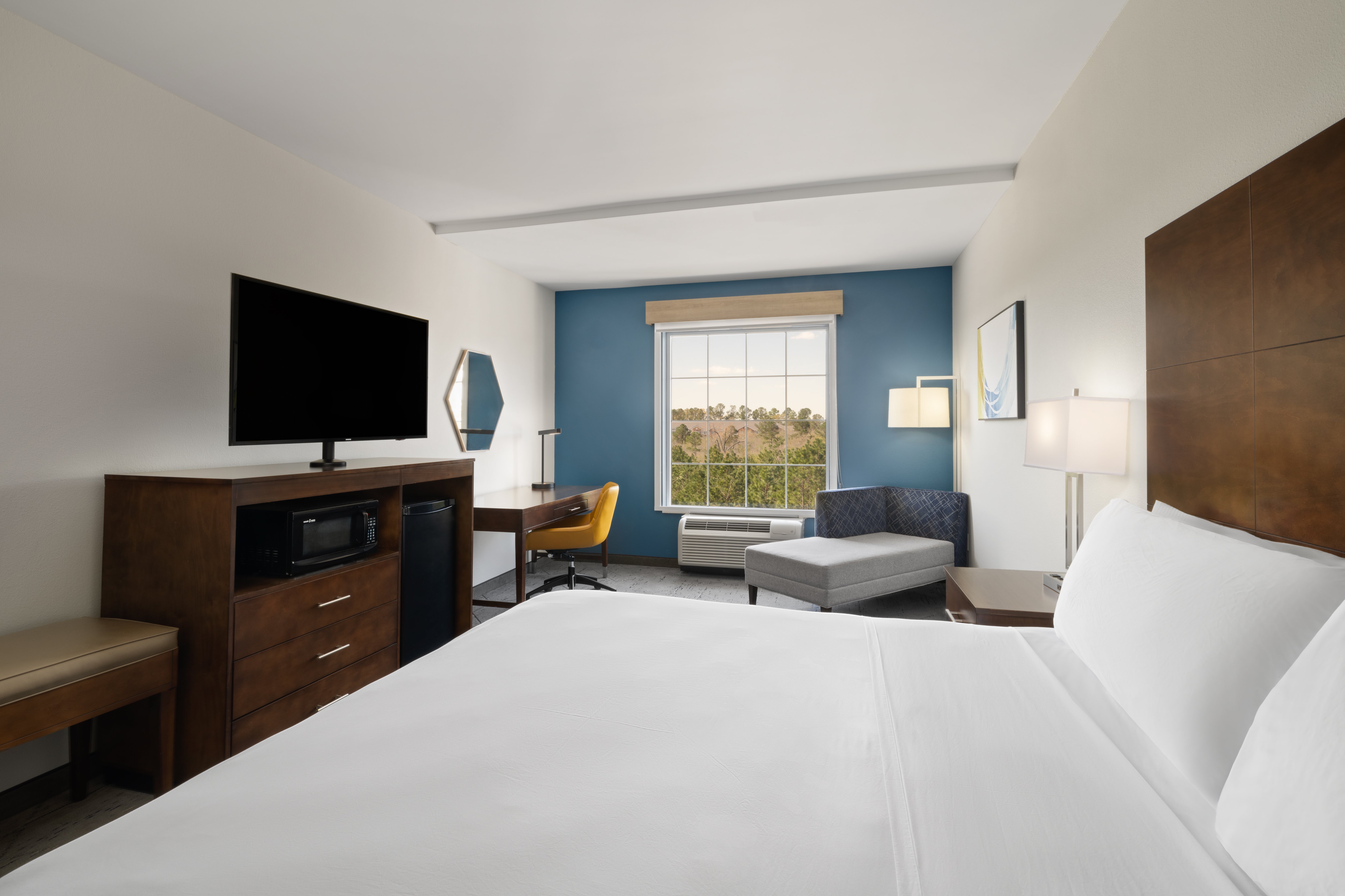 Holiday Inn Express And Suites Aiken 14/50