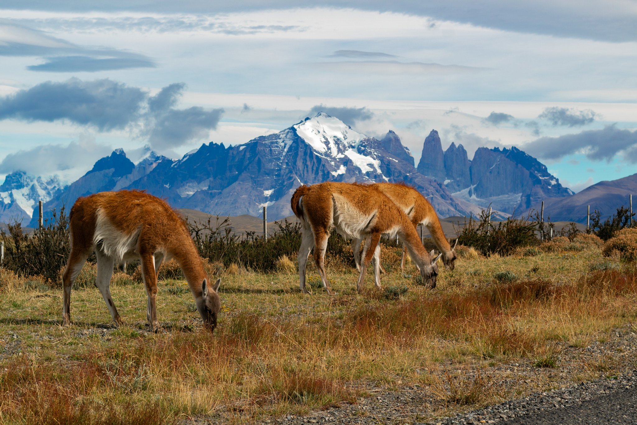 The Singular Patagonia, Puerto Bories Hotel 28/37