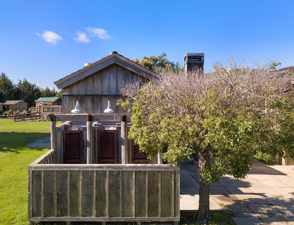 Costanoa 3/50