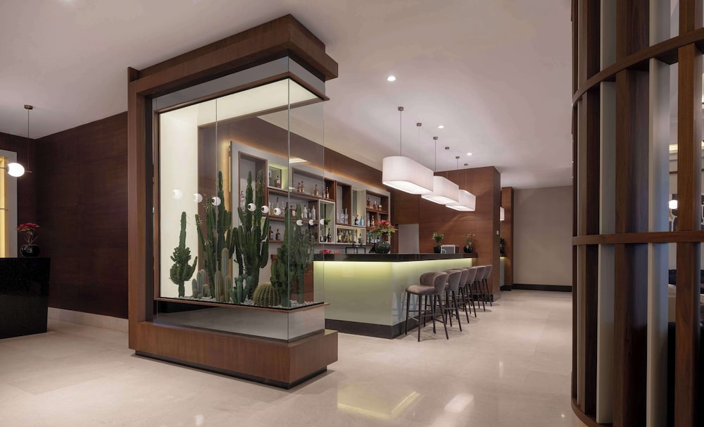 Radisson Blu Hotel Ankara Cankaya 11/56