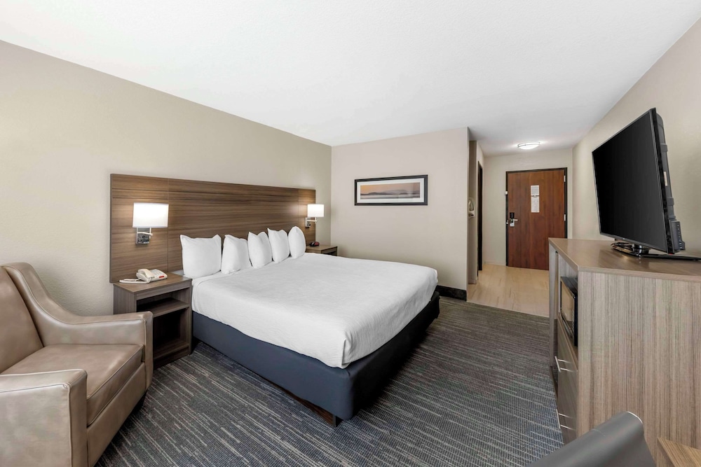 Room, King Bed, Accessible