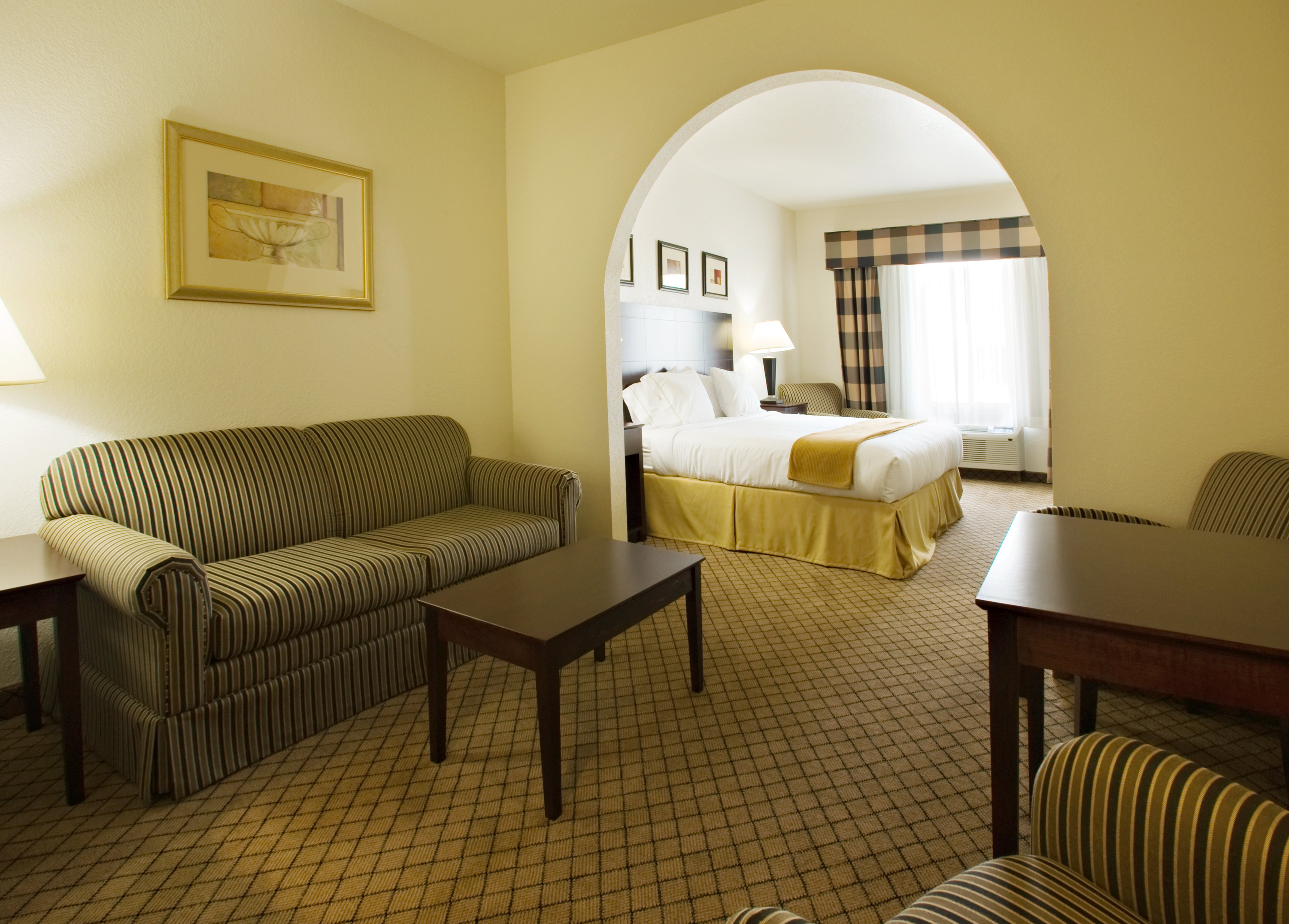 Holiday Inn Express Hotel And Suites Childress 25/38