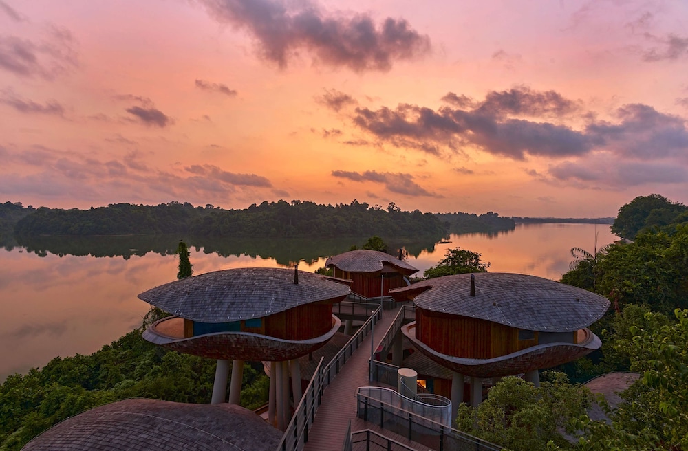 Mandai Rainforest Resort by Banyan Tree 57/62