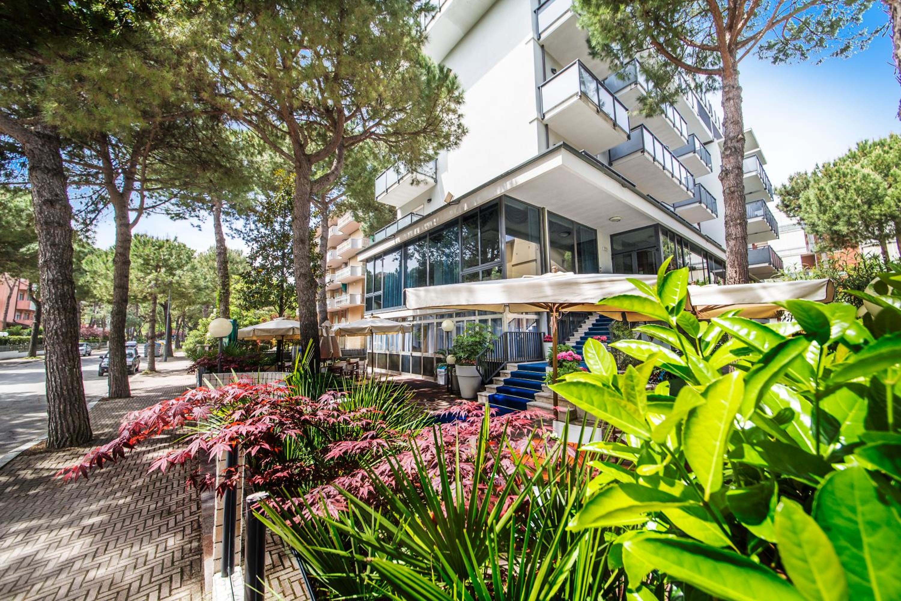 Hotel Renzo 3/50