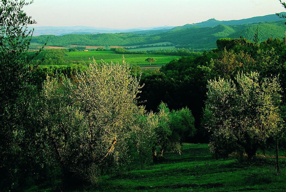 Fattoria Casabianca 35/50