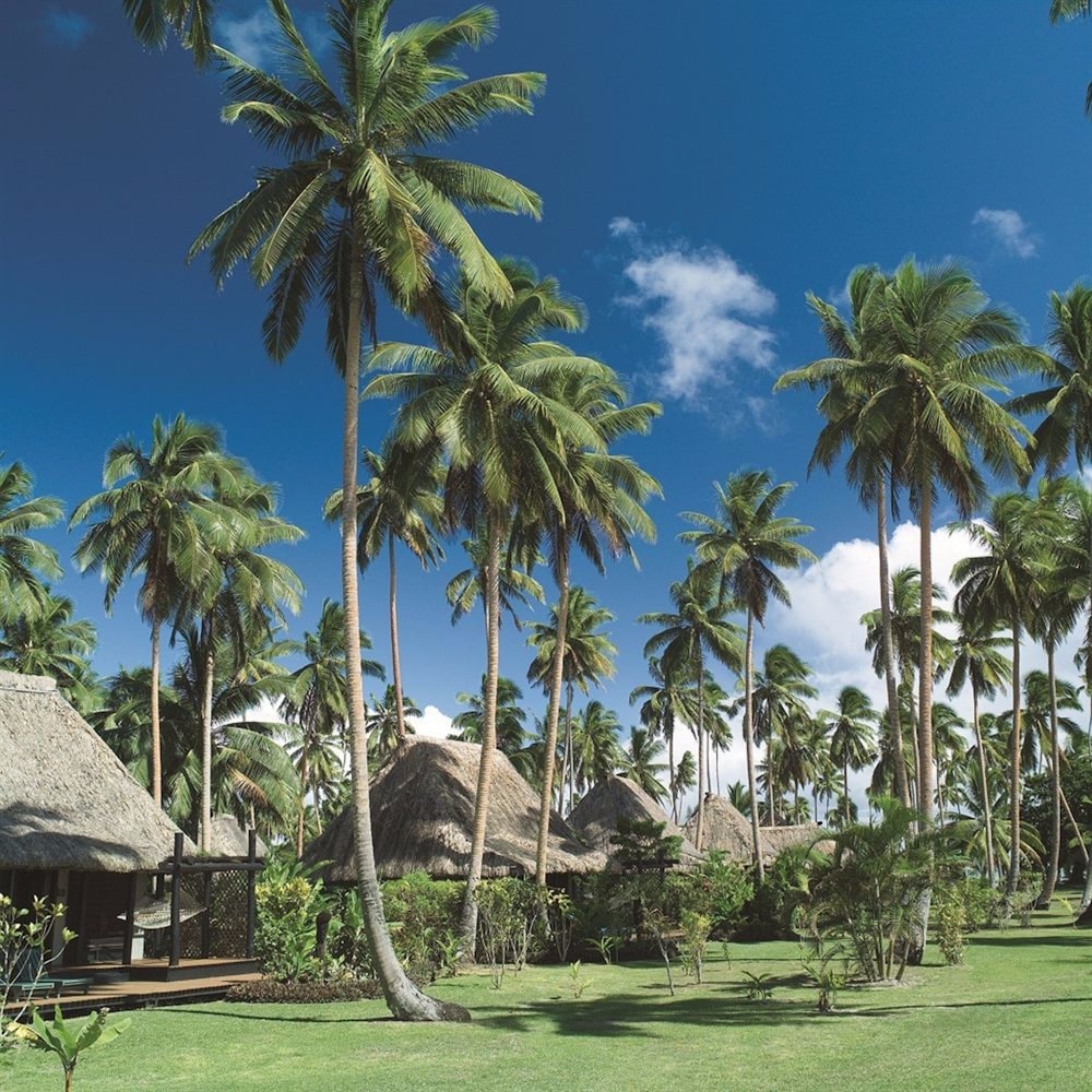 Jean-Michel Cousteau Fiji Islands Resort 37/50