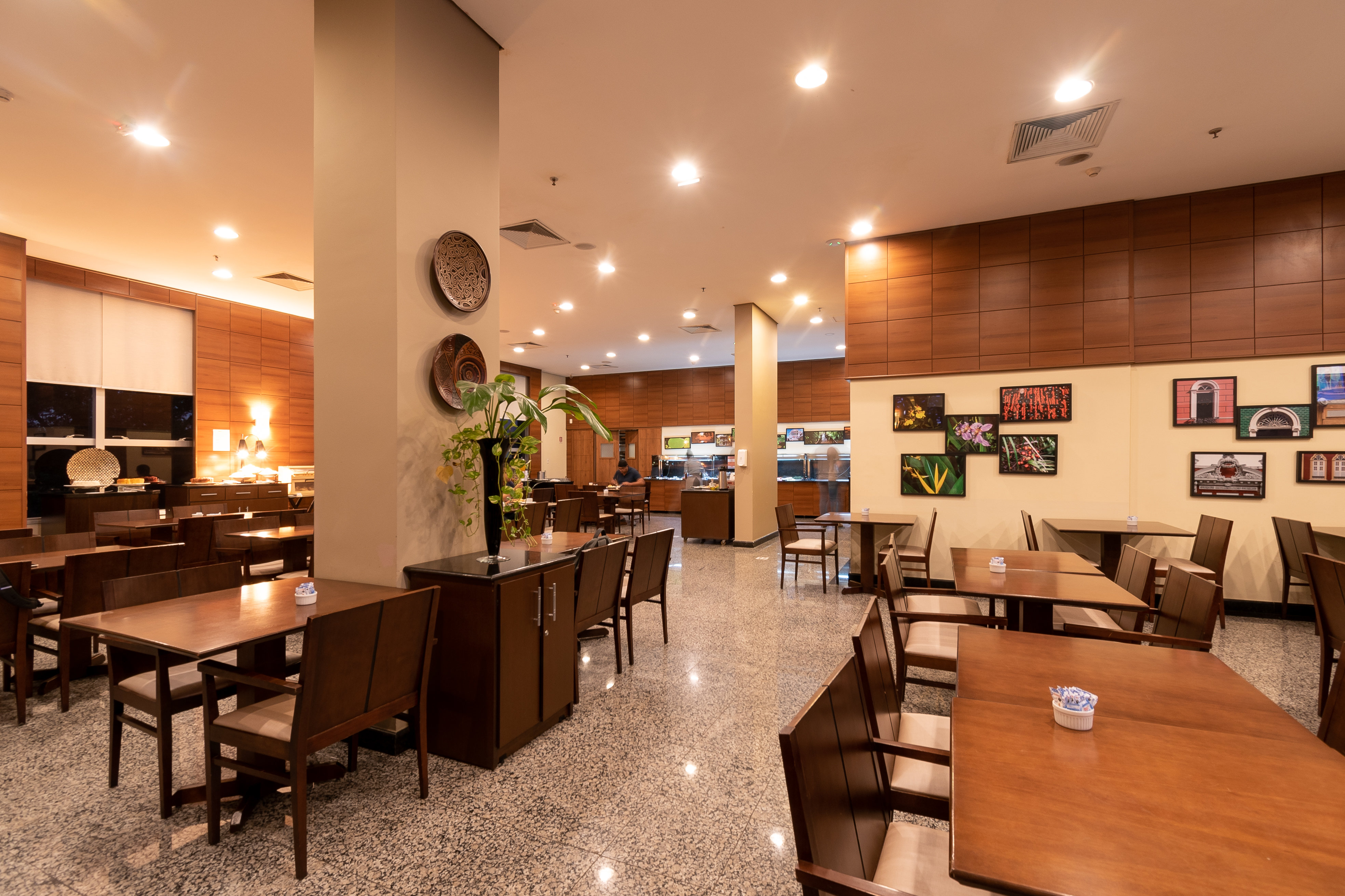 Holiday Inn Manaus 33/50