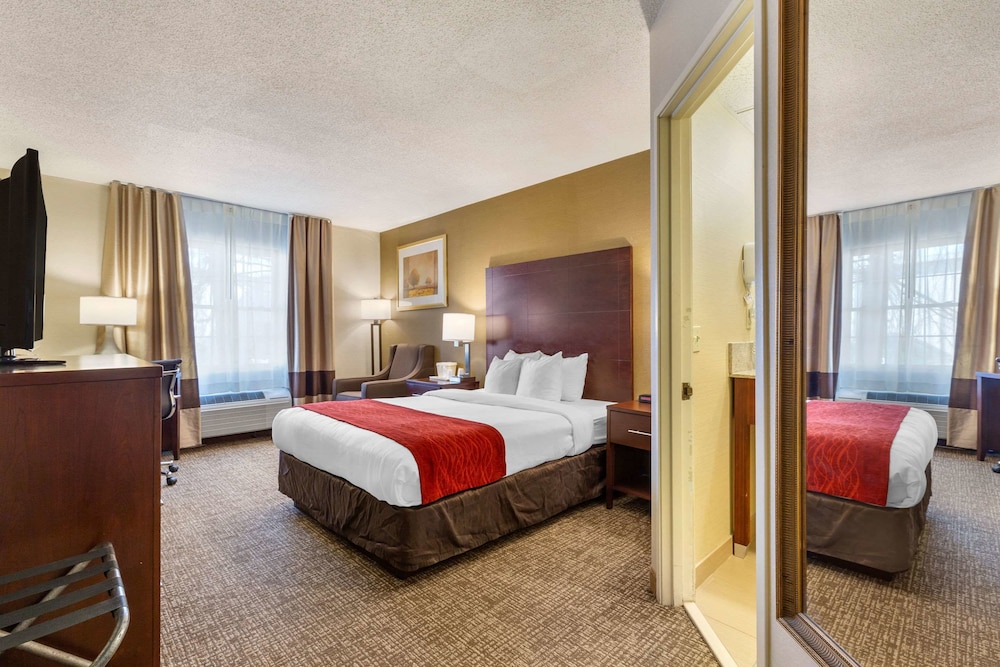 Comfort Inn Auburn-Worcester 13/46