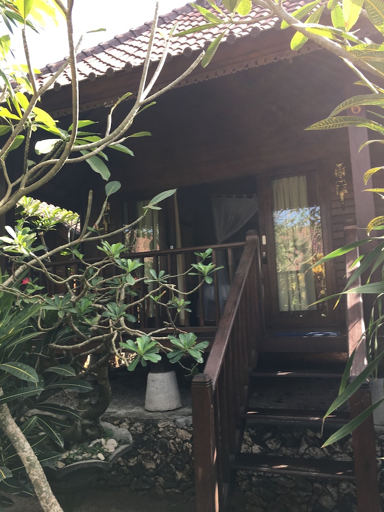 Cassava Bungalow 26/37