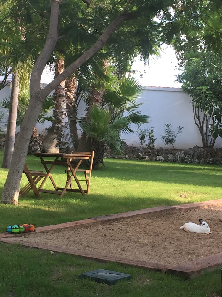 Resort Oasis 34/50
