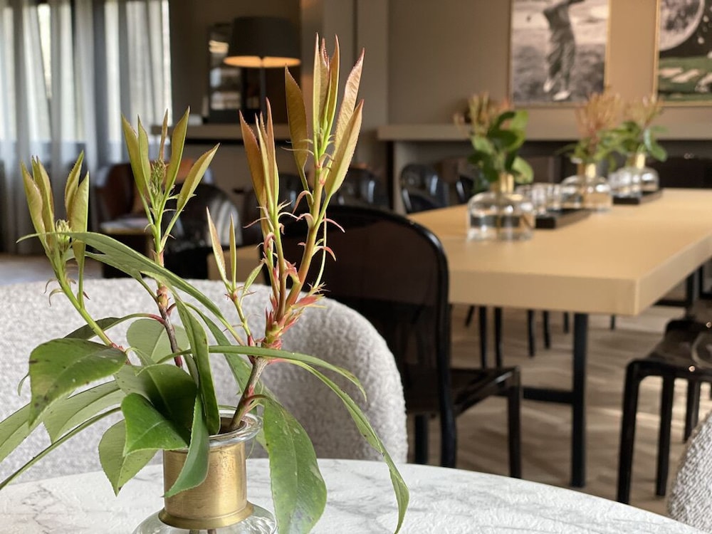Sapia Hotel Rheinsberg 36/50