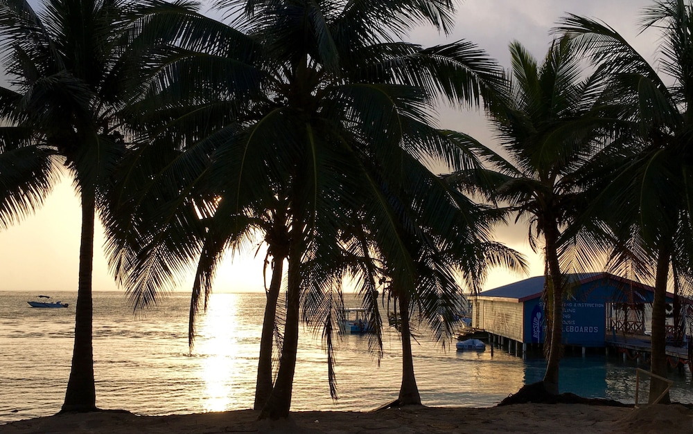 The Palapa House 80/85