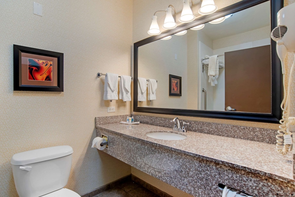 Comfort Suites Alexandria North 13/36