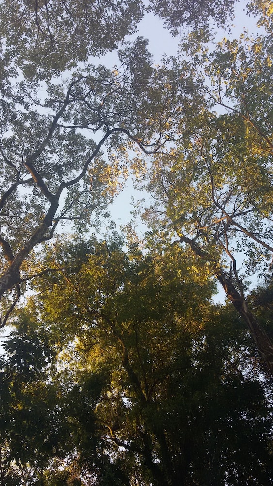 Kelta Iguazu 48/62