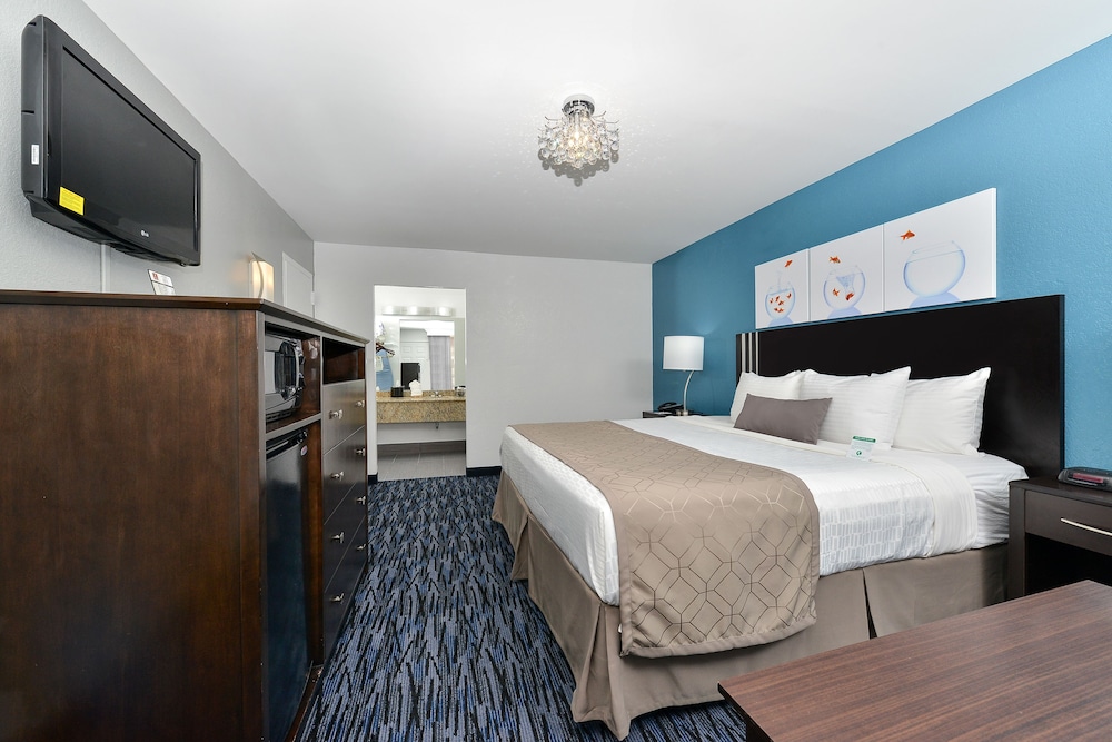 Quality Inn and Conference Center Tampa-Brandon 22/42