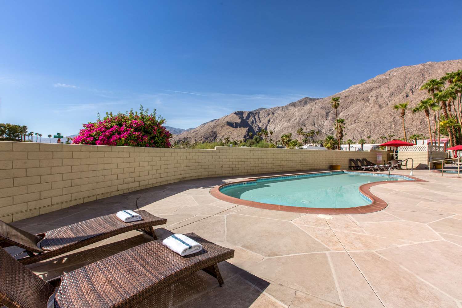 Quality Inn Palm Springs Downtown 7/17
