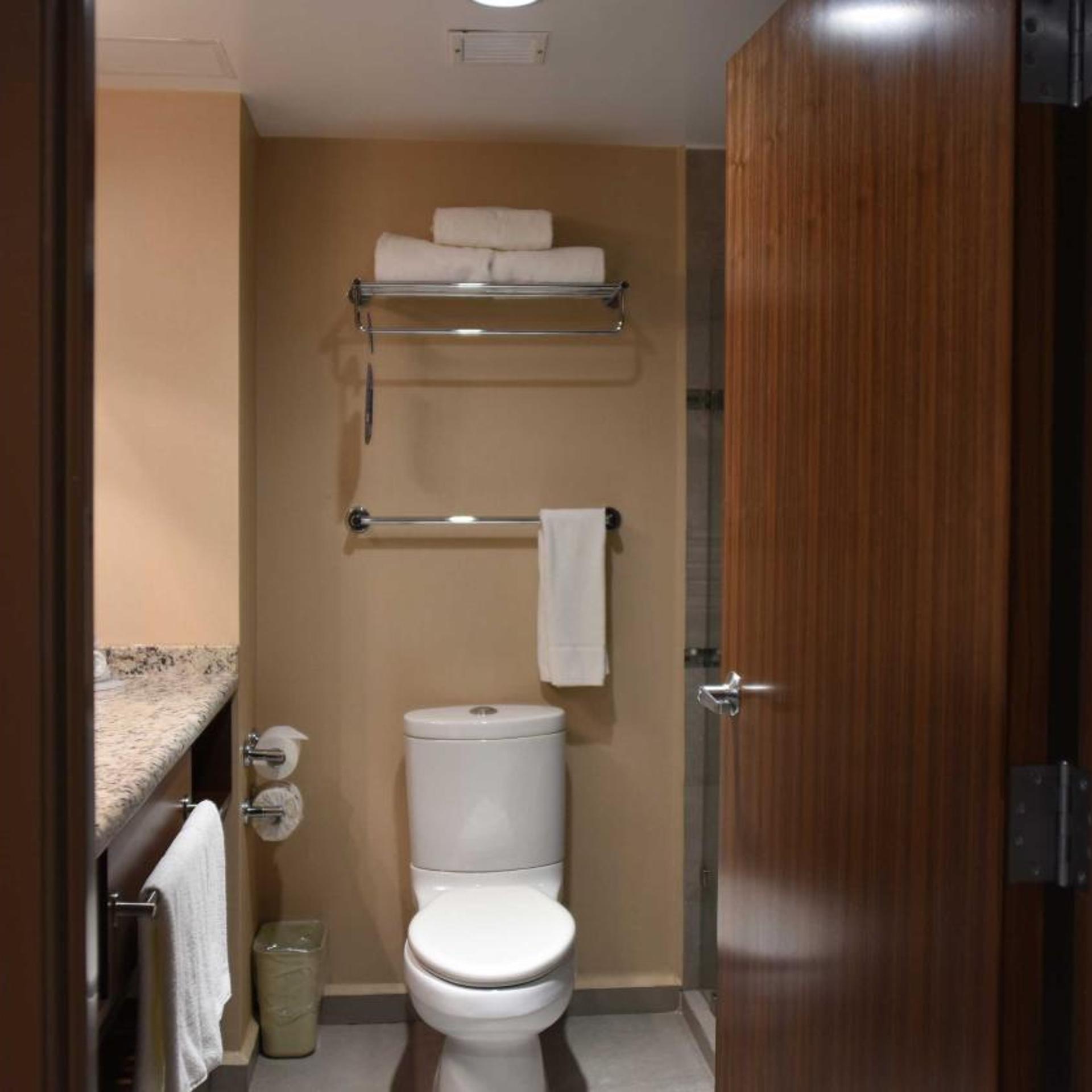 Standard, Double Bed, Holiday Inn Express and Suites Celaya 3/5